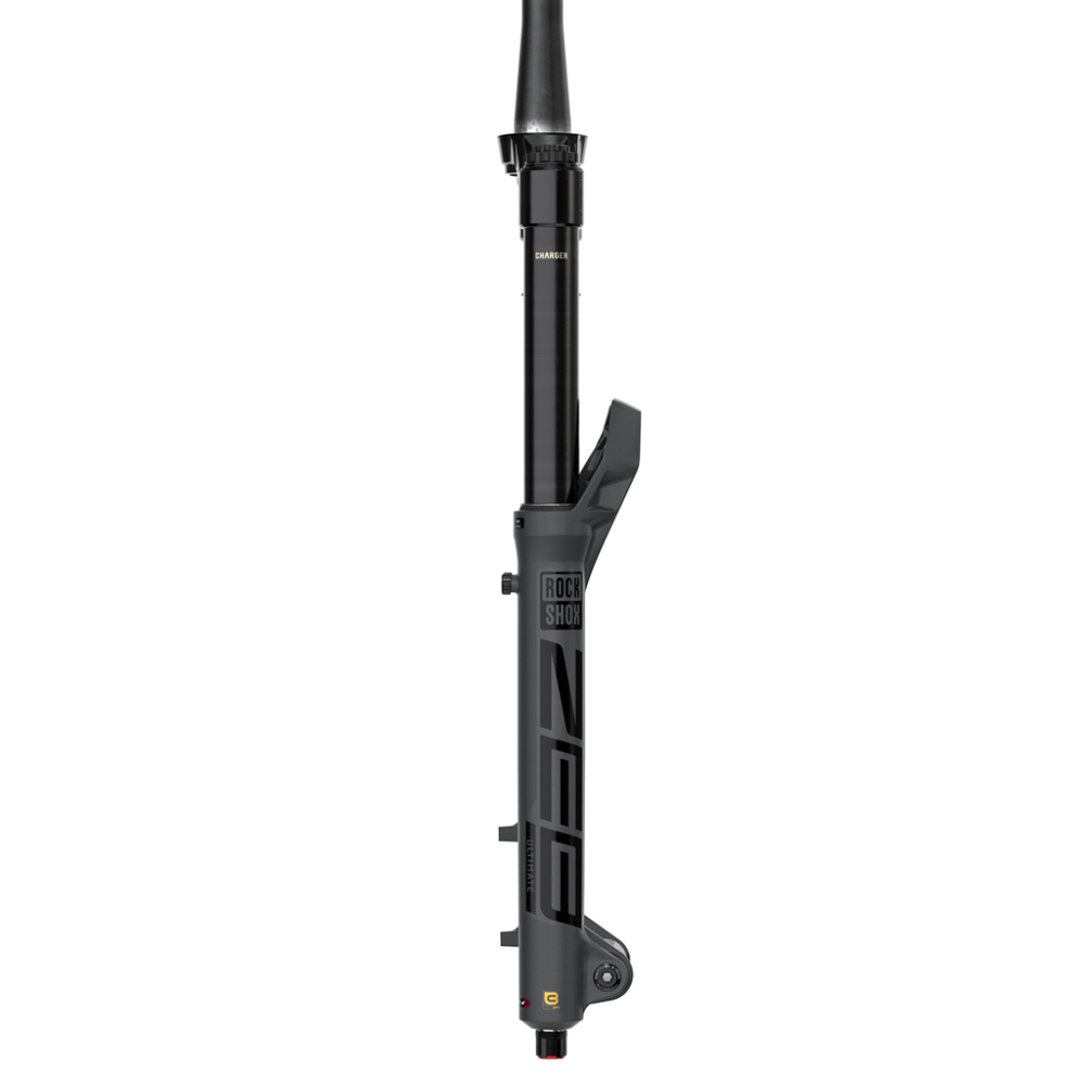 RockShox MY25 Fork ZEB Ultimate Charger3.1 ButterCups, grey