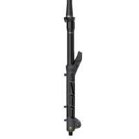 RockShox MY25 Fork ZEB Ultimate Charger3.1 ButterCups, grey